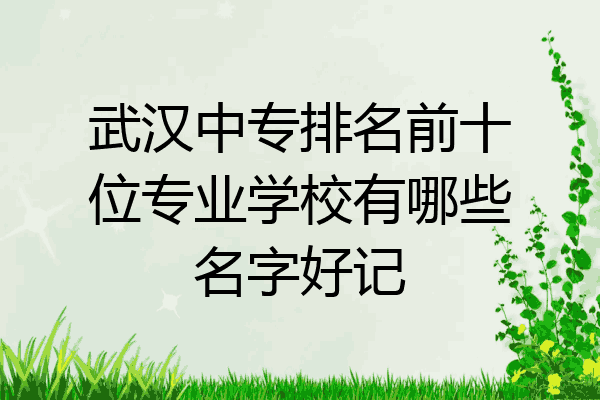 武汉中专排名前十位专业学校有哪些名字好记