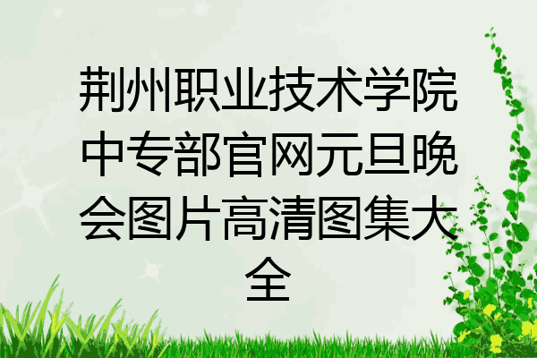 荆州职业技术学院中专部官网元旦晚会图片高清图集大全