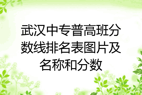 武汉中专普高班分数线排名表图片及名称和分数