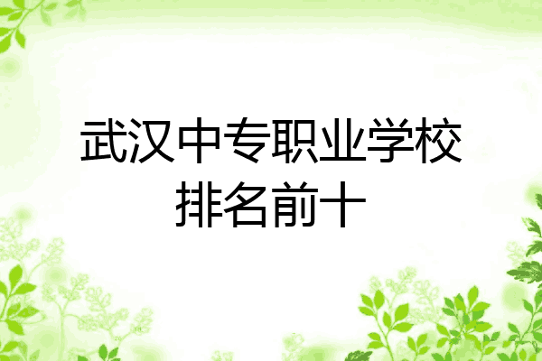 武汉中专职业学校排名前十