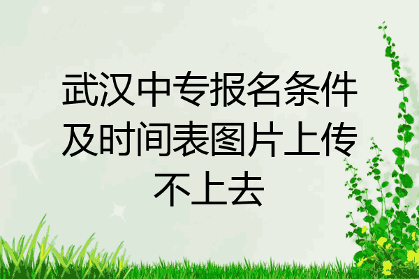 武汉中专报名条件及时间表图片上传不上去