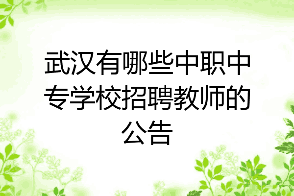 武汉有哪些中职中专学校招聘教师的公告