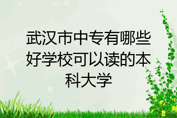 武汉市中专有哪些好学校可以读的本科大学