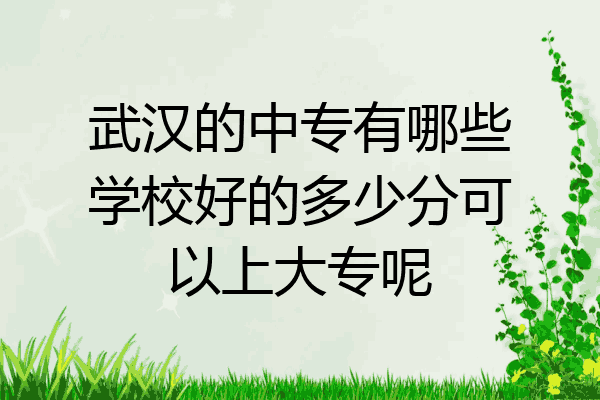 武汉的中专有哪些学校好的多少分可以上大专呢
