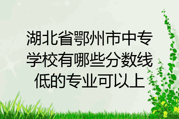 湖北省鄂州市中专学校有哪些分数线低的专业可以上