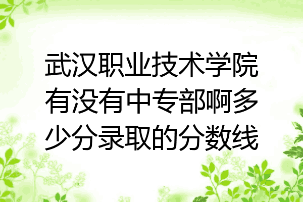 武汉职业技术学院有没有中专部啊多少分录取的分数线