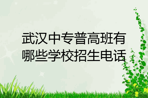武汉中专普高班有哪些学校招生电话