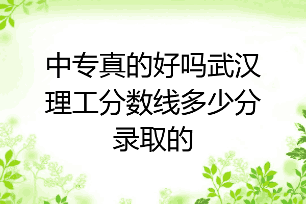 中专真的好吗武汉理工分数线多少分录取的