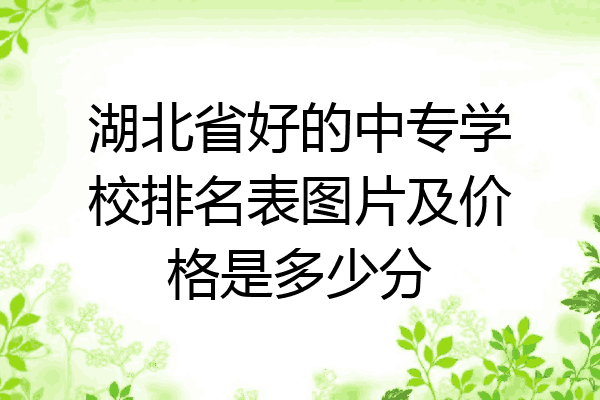 湖北省好的中专学校排名表图片及价格是多少分