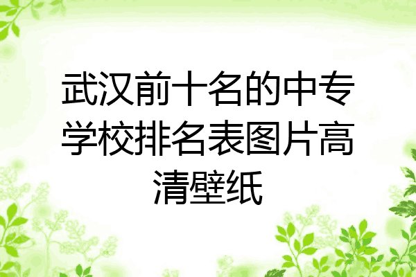 武汉前十名的中专学校排名表图片高清壁纸
