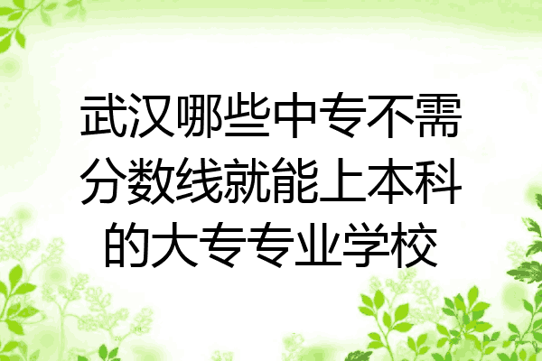 武汉哪些中专不需分数线就能上本科的大专专业学校