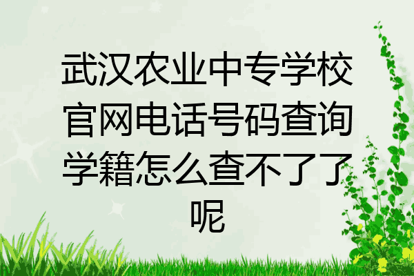 武汉农业中专学校官网电话号码查询学籍怎么查不了了呢