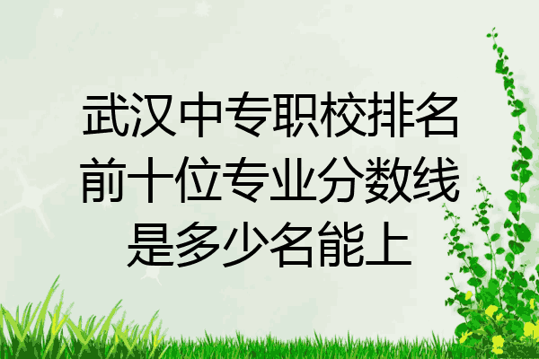 武汉中专职校排名前十位专业分数线是多少名能上