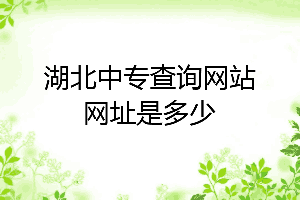 湖北中专查询网站网址是多少