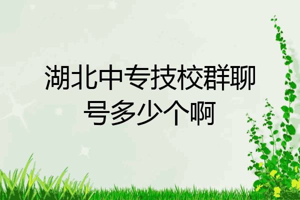 湖北中专技校群聊号多少个啊