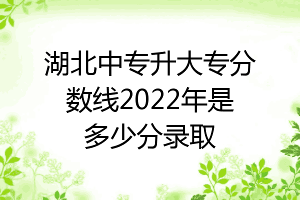 湖北中专升大专分数线2022年是多少分录取