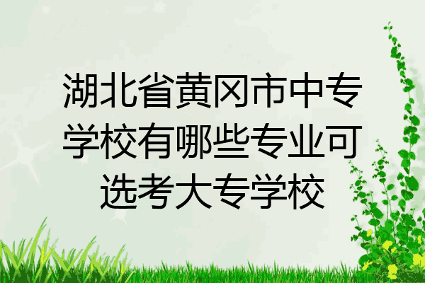 湖北省黄冈市中专学校有哪些专业可选考大专学校