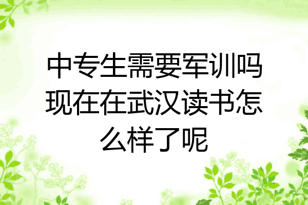 中专生需要军训吗现在在武汉读书怎么样了呢
