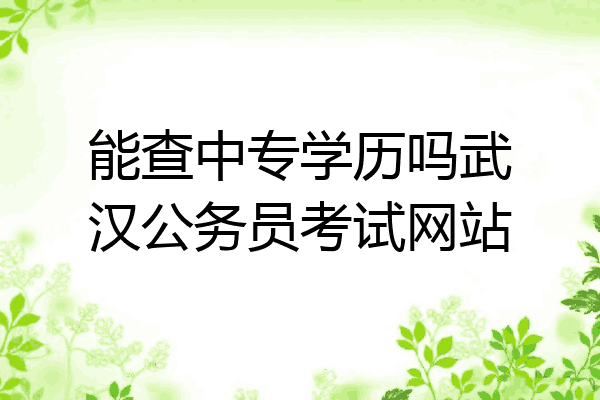 能查中专学历吗武汉公务员考试网站