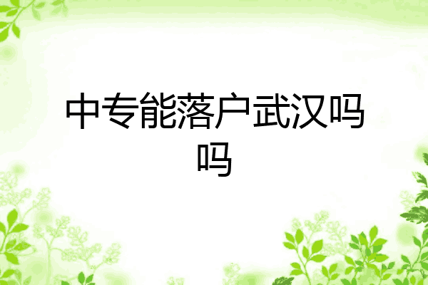中专能落户武汉吗吗