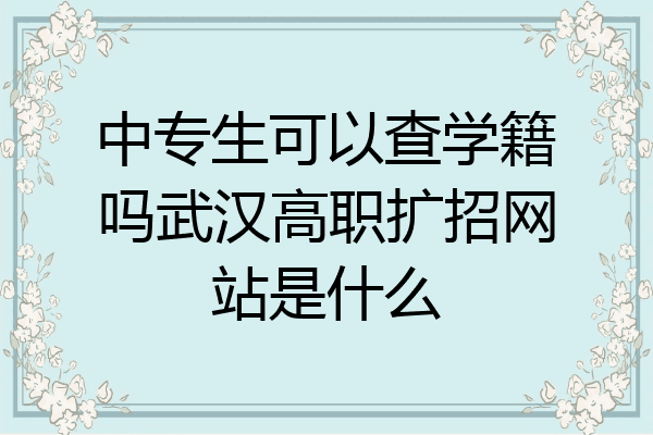 中专生可以查学籍吗武汉高职扩招网站是什么