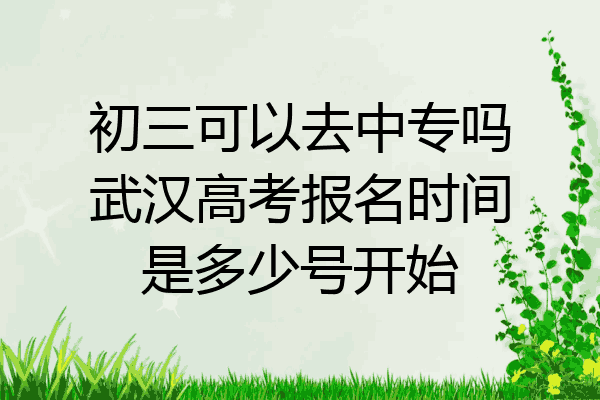 初三可以去中专吗武汉高考报名时间是多少号开始