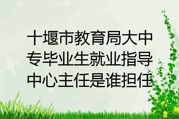 十堰市教育局大中专毕业生就业指导中心主任是谁担任