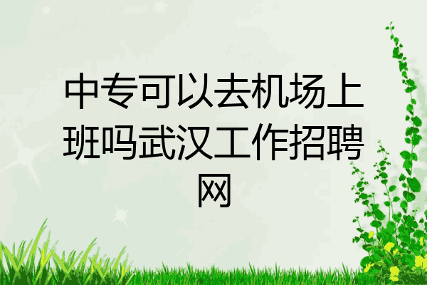 中专可以去机场上班吗武汉工作招聘网
