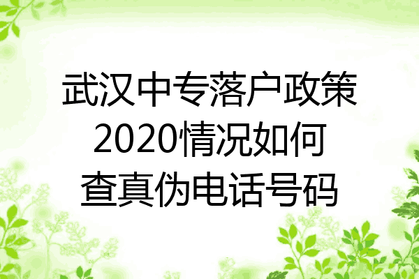 武汉中专落户政策2020情况如何查真伪电话号码