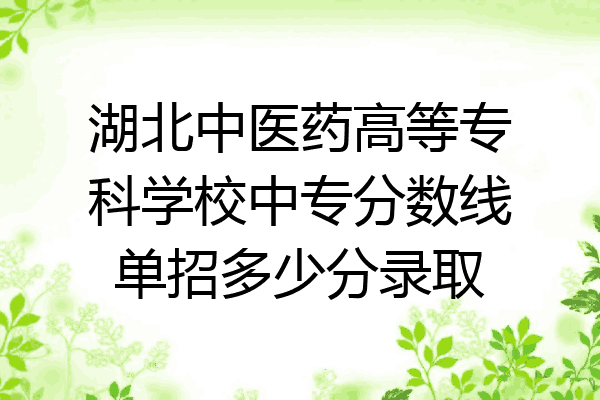 湖北中医药高等专科学校中专分数线单招多少分录取