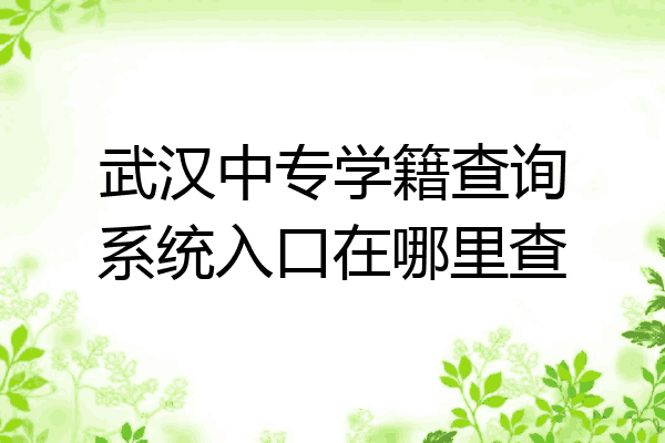 武汉中专学籍查询系统入口在哪里查