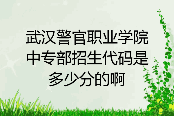 武汉警官职业学院中专部招生代码是多少分的啊