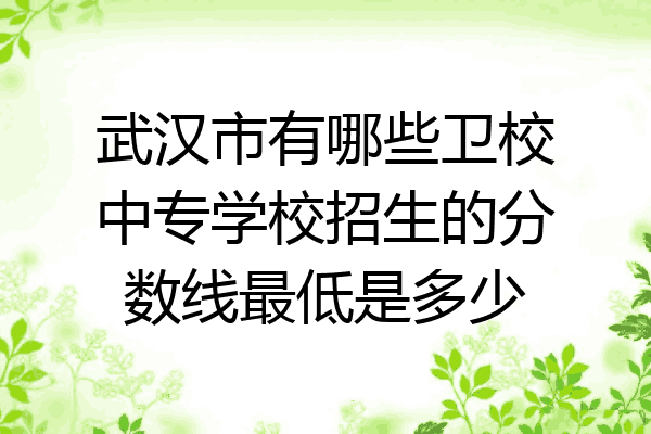 武汉市有哪些卫校中专学校招生的分数线最低是多少