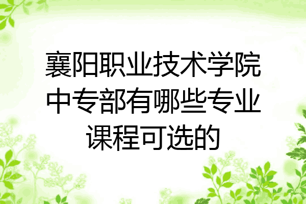 襄阳职业技术学院中专部有哪些专业课程可选的