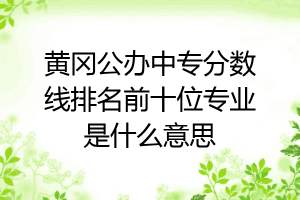 黄冈公办中专分数线排名前十位专业是什么意思