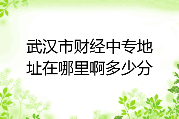武汉市财经中专地址在哪里啊多少分