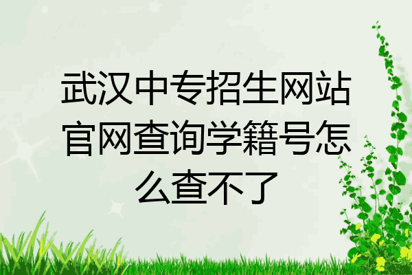 武汉中专招生网站官网查询学籍号怎么查不了