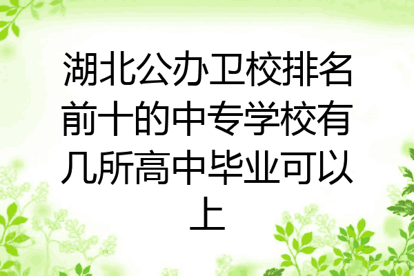 湖北公办卫校排名前十的中专学校有几所高中毕业可以上
