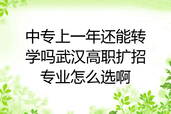 中专上一年还能转学吗武汉高职扩招专业怎么选啊