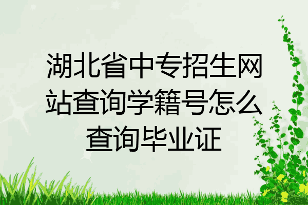湖北省中专招生网站查询学籍号怎么查询毕业证