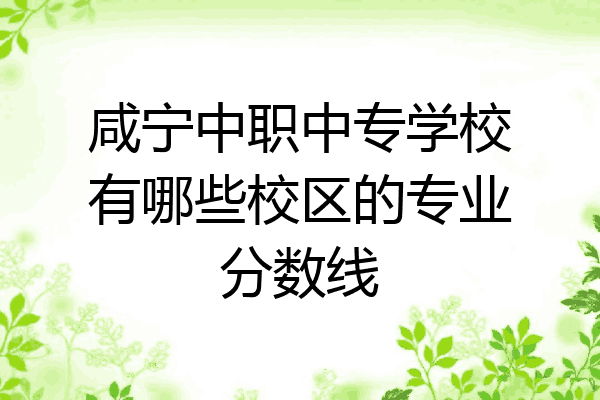 咸宁中职中专学校有哪些校区的专业分数线