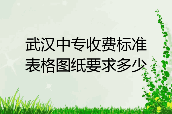 武汉中专收费标准表格图纸要求多少
