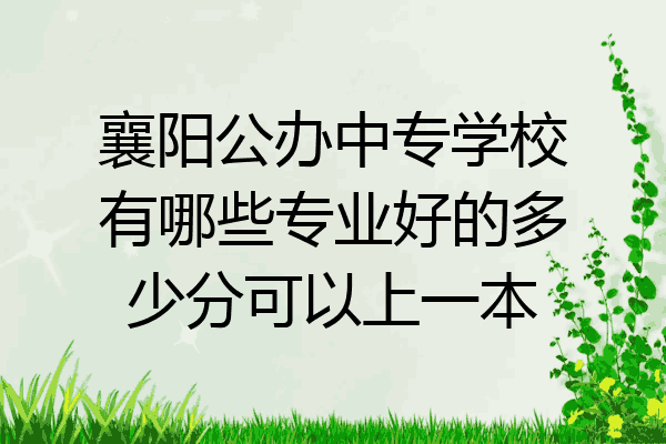 襄阳公办中专学校有哪些专业好的多少分可以上一本