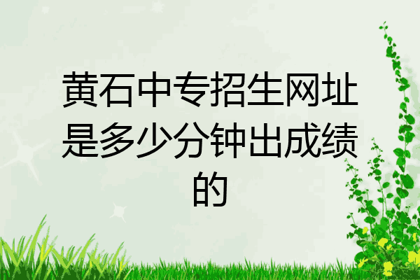 黄石中专招生网址是多少分钟出成绩的