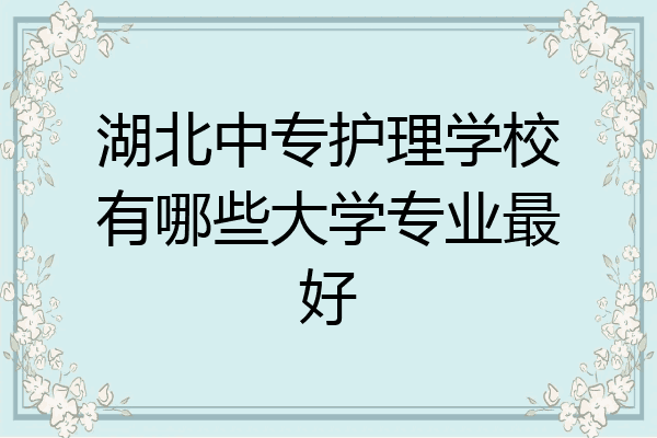 湖北中专护理学校有哪些大学专业最好