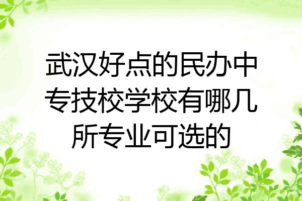 武汉好点的民办中专技校学校有哪几所专业可选的