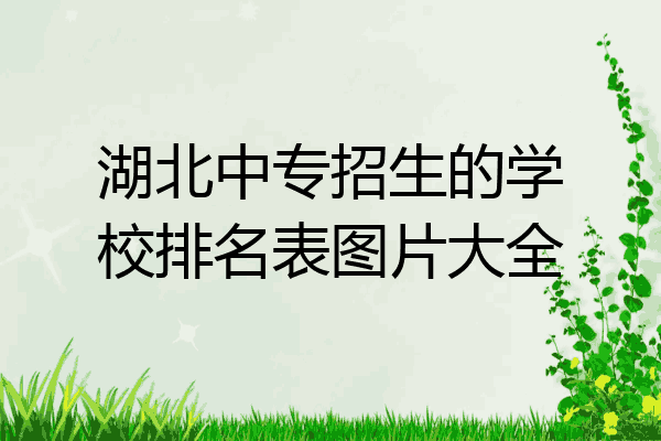 湖北中专招生的学校排名表图片大全