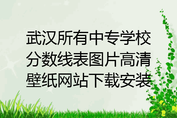 武汉所有中专学校分数线表图片高清壁纸网站下载安装