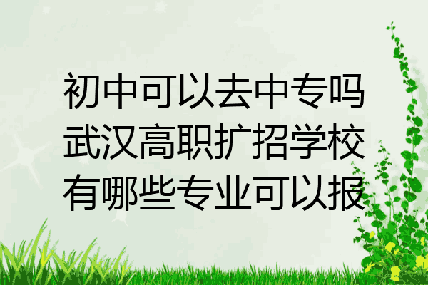 初中可以去中专吗武汉高职扩招学校有哪些专业可以报