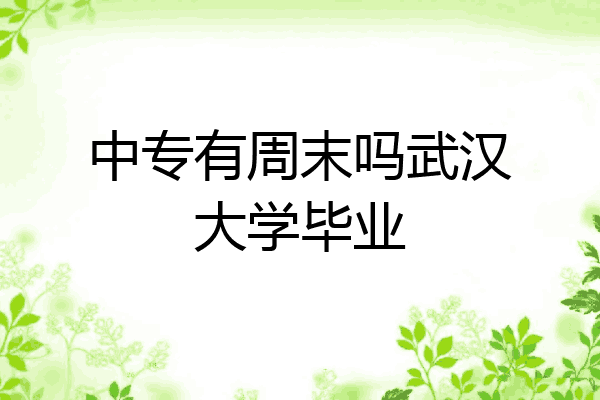中专有周末吗武汉大学毕业